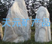 �羰ʯ